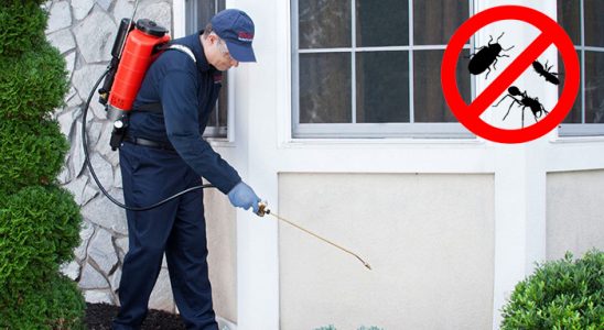 Çatalzeytin Böcek İlaçlama böcek ilaçlama ve haşere kontrolü — ilaclama-tr.com